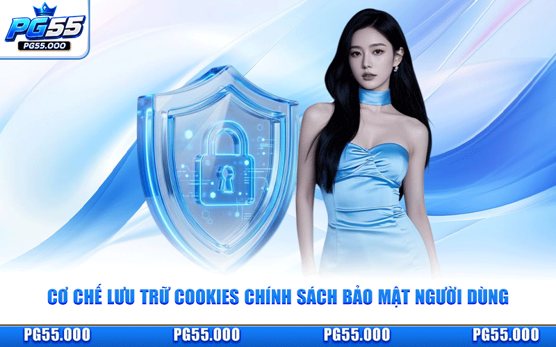 Cơ Chế Lưu Trữ Cookies Chính Sách Bảo Mật Người Dùng
